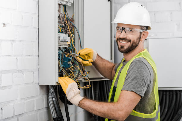 Best Electric Panel Repair  in Land O Lakes, FL