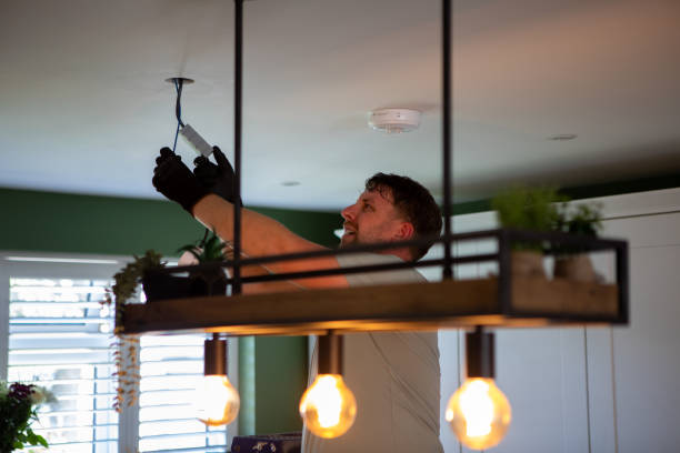 Best Affordable Electrician  in Land O Lakes, FL